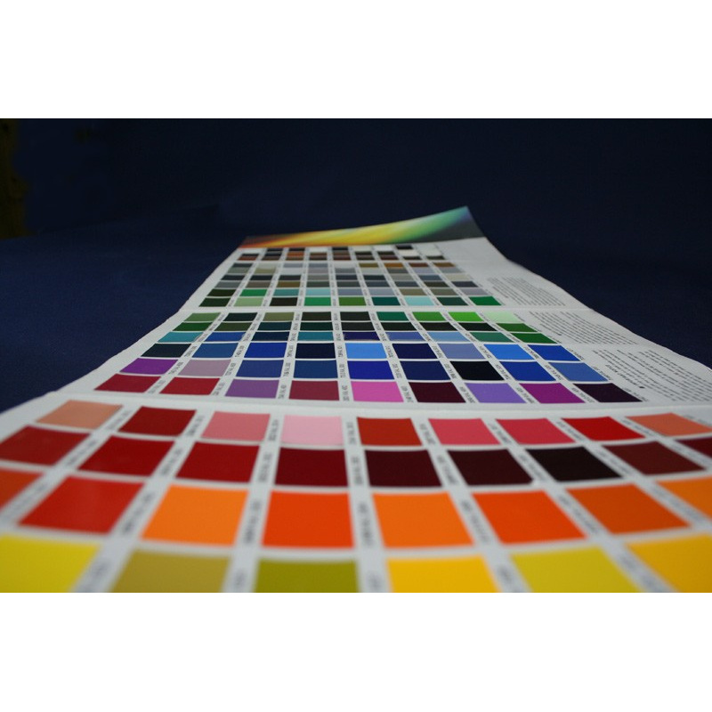 Kit Peinture Par Numéros Adulte 
