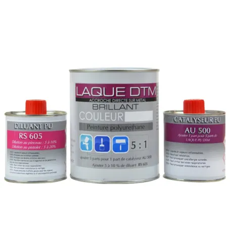 Kit peinture DTM