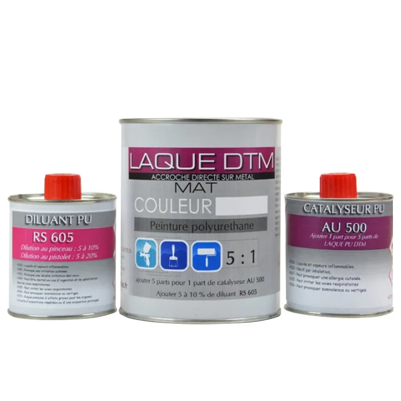 Kit peinture DTM